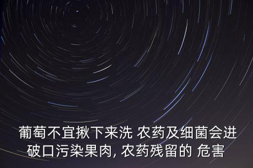  葡萄不宜揪下來洗 農(nóng)藥及細(xì)菌會(huì)進(jìn)破口污染果肉, 農(nóng)藥殘留的 危害