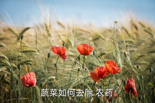 菜有病用什么農(nóng)藥殺蟲,什么農(nóng)藥殺蟲效果好期又長