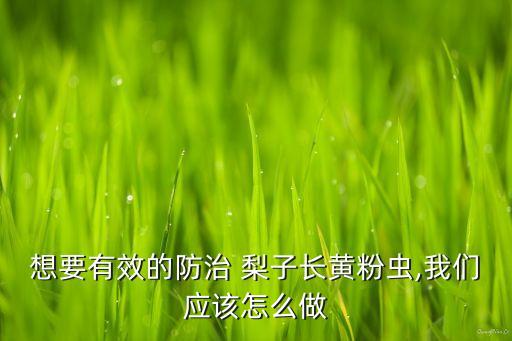 想要有效的防治 梨子長黃粉蟲,我們應該怎么做