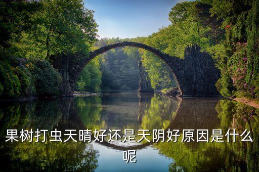 果樹打蟲天晴好還是天陰好原因是什么呢