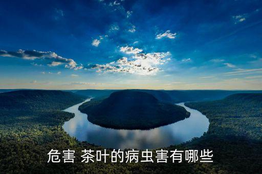 茶葉葉蟬類用什么農藥