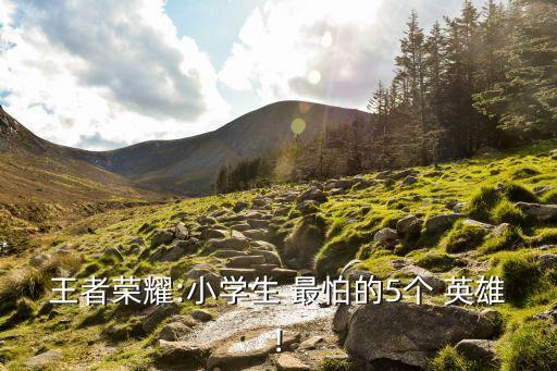 王者榮耀:小學生 最怕的5個 英雄!