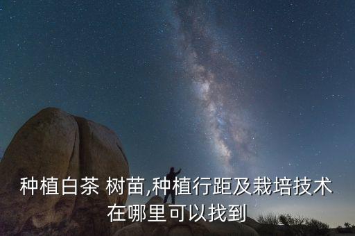 茶樹苗什么時候打農藥