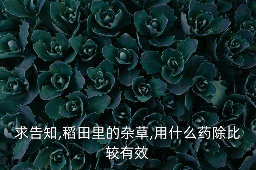 求告知,稻田里的雜草,用什么藥除比較有效