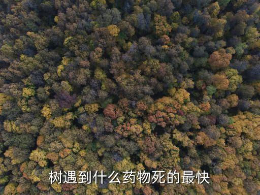 樹遇到什么藥物死的最快