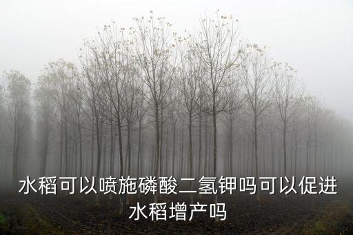 水稻揚花噴什么農藥,玉米揚花期可以噴農藥嗎?