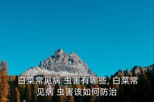  白菜常見病 蟲害有哪些, 白菜常見病 蟲害該如何防治