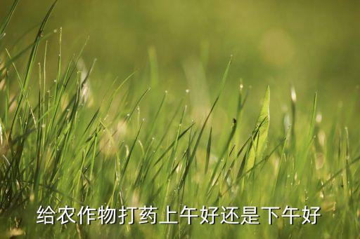 什么時(shí)間能打農(nóng)藥,什么蔬菜不打農(nóng)藥