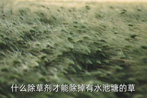 田里水草用什么農藥好呢,什么農藥能殺死水草