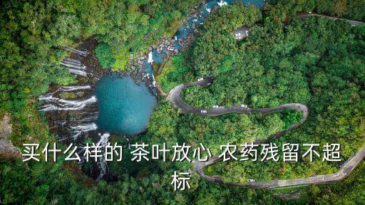 什么茶葉不會打農藥的味道,茶葉一般打什么農藥