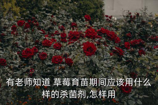 草莓病蟲害用什么農(nóng)藥,草莓一般上什么農(nóng)藥