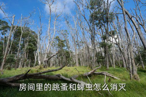 房間里的跳蚤和蜱蟲怎么消滅