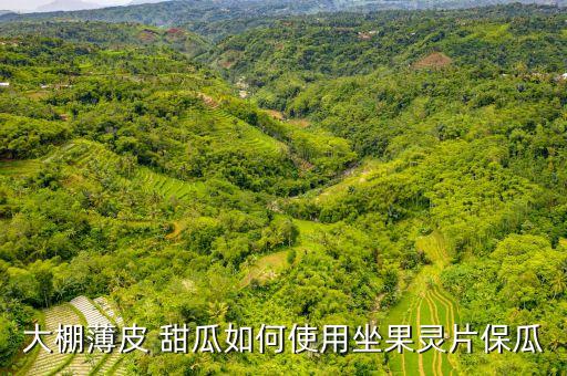 甜瓜后期死棵打什么農藥