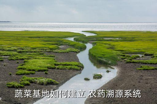 蔬菜基地如何建立 農(nóng)藥溯源系統(tǒng)