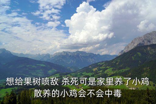 想給果樹噴敵 殺死可是家里養(yǎng)了小雞散養(yǎng)的小雞會不會中毒