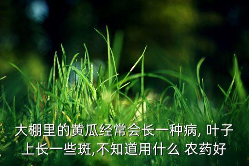 大棚里的黃瓜經常會長一種病, 葉子上長一些斑,不知道用什么 農藥好