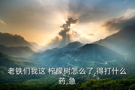 老鐵們我這 檸檬樹怎么了,得打什么藥,急