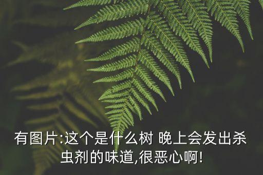 晚上聞到的農藥味是什么,衛生間有農藥味是什么原因