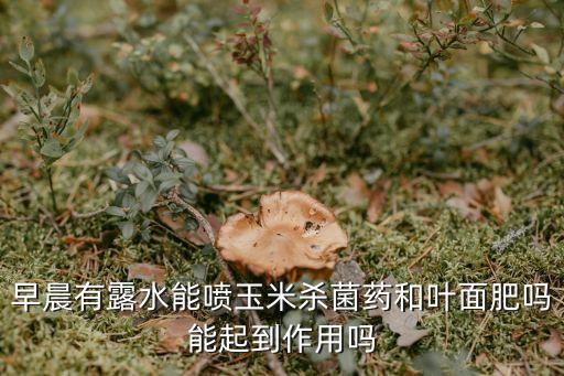 清晨噴灑農藥利用什么,噴灑農藥什么時間最好