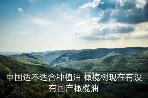 中國適不適合種植油 橄欖樹現在有沒有國產橄欖油