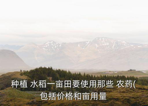 水稻移栽前噴施什么農(nóng)藥