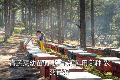 育蔬菜幼苗時,長有雜草,用哪種 農藥最好