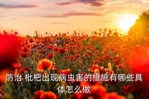 枇杷要打什么農(nóng)藥,枇杷打什么農(nóng)藥又大又甜