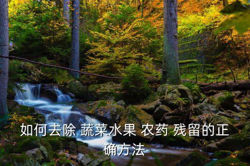 如何去除 蔬菜水果 農藥 殘留的正確方法