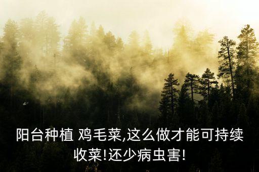 陽(yáng)臺(tái)種植 雞毛菜,這么做才能可持續(xù)收菜!還少病蟲(chóng)害!