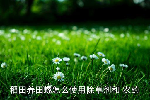 殺東風(fēng)螺用什么農(nóng)藥,旱螺用什么農(nóng)藥