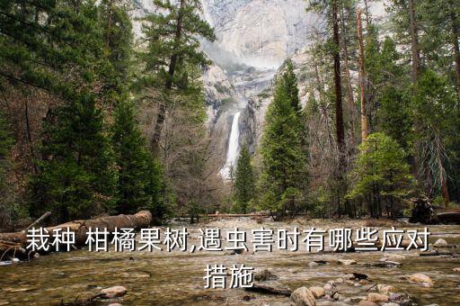 栽種 柑橘果樹,遇蟲害時有哪些應對措施
