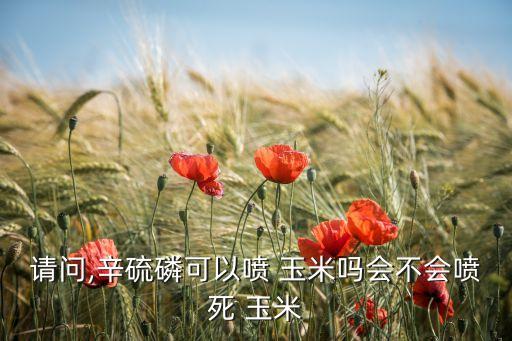 請問,辛硫磷可以噴 玉米嗎會不會噴死 玉米