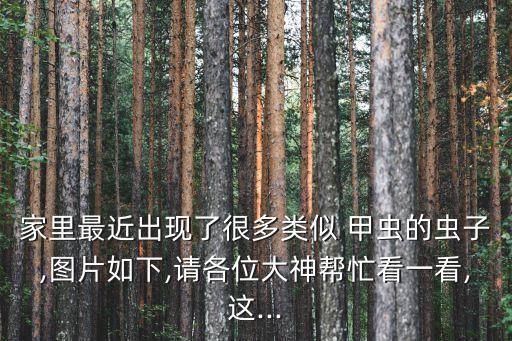 灰象甲蟲最怕什么農(nóng)藥