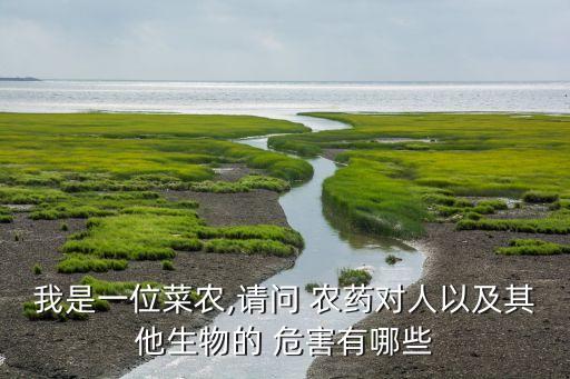 我是一位菜農(nóng),請問 農(nóng)藥對人以及其他生物的 危害有哪些