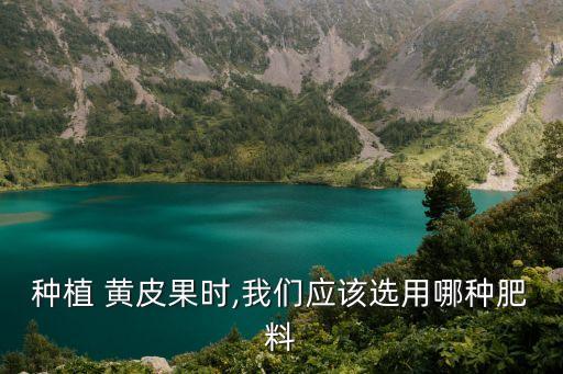 黃皮果有什么農(nóng)藥可以催花