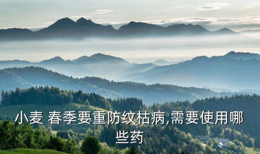 小麥 春季要重防紋枯病,需要使用哪些藥