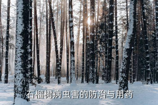  石榴樹病蟲害的防治與用藥
