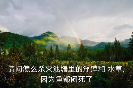 請問怎么殺滅池塘里的浮萍和 水草,因為魚都悶死了