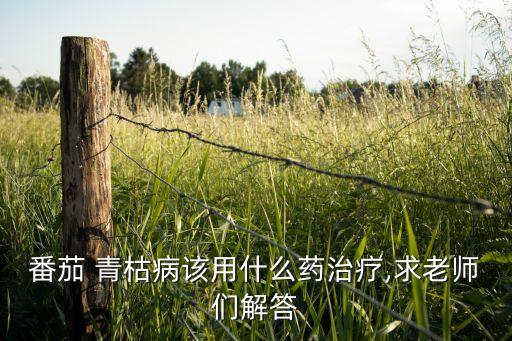 茄青枯病用什么農藥,防治花生青枯病效果最好的農藥