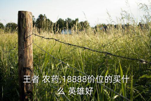  王者 農藥,18888價位的買什么 英雄好
