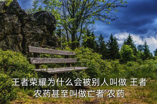  王者榮耀為什么會被別人叫做 王者 農藥甚至叫做亡者 農藥
