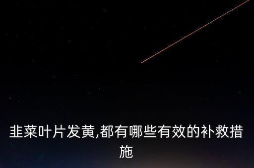 韭黃用什么農藥最好呢,韭黃跟什么搭配最好