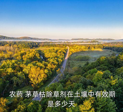 什么農藥可以打茅草,什么龍打茅草多