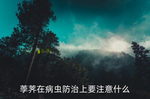 荸薺在病蟲防治上要注意什么