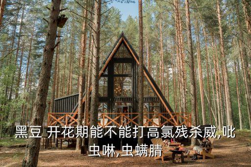 黑豆 開花期能不能打高氯殘殺威,吡蟲啉,蟲螨腈