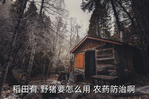 野豬最怕什么農藥,野豬怕什么如何趕野豬