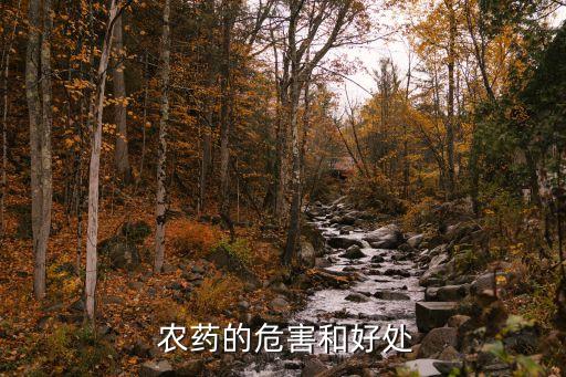 人類為什么不用農(nóng)藥,生菜為什么不用打農(nóng)藥