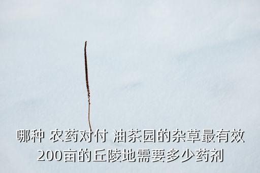 油茶樹(shù)怕什么農(nóng)藥,獾子怕什么農(nóng)藥