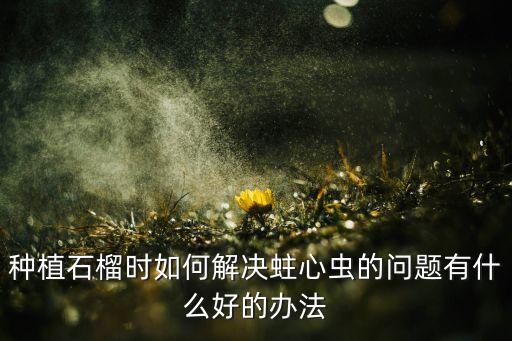 石榴樹蛀蟲用什么農藥,打石榴樹用什么農藥好