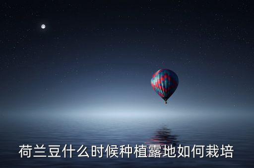 荷蘭豆什么時候種植露地如何栽培